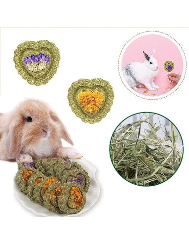 16 Juguetes para Hámster y Conejos Dbeans - Salud Dental