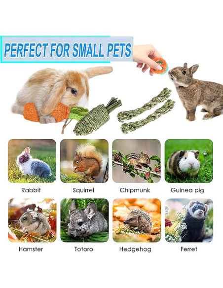 16 Juguetes para Hámster y Conejos Dbeans - Salud Dental