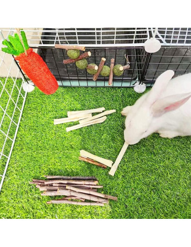 16 Juguetes para Hámster y Conejos Dbeans - Salud Dental