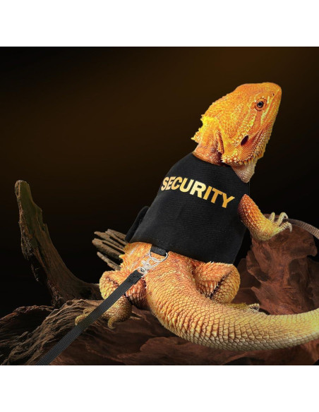 Conjunto Arnés y Correa DONGKER para Dragón Barbudo Reptiles