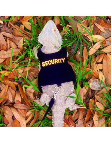 Conjunto Arnés y Correa DONGKER para Dragón Barbudo Reptiles