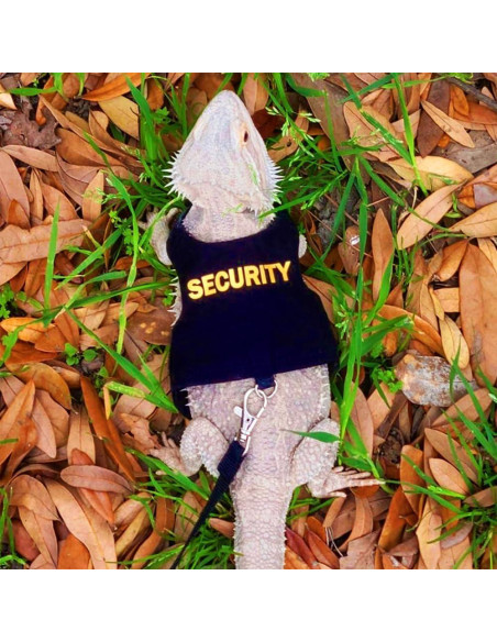 Conjunto Arnés y Correa DONGKER para Dragón Barbudo Reptiles