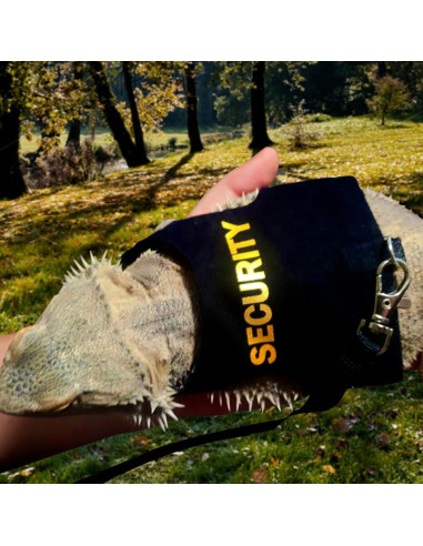 Conjunto Arnés y Correa DONGKER para Dragón Barbudo Reptiles