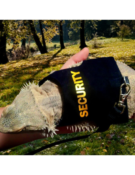 Conjunto Arnés y Correa DONGKER para Dragón Barbudo Reptiles