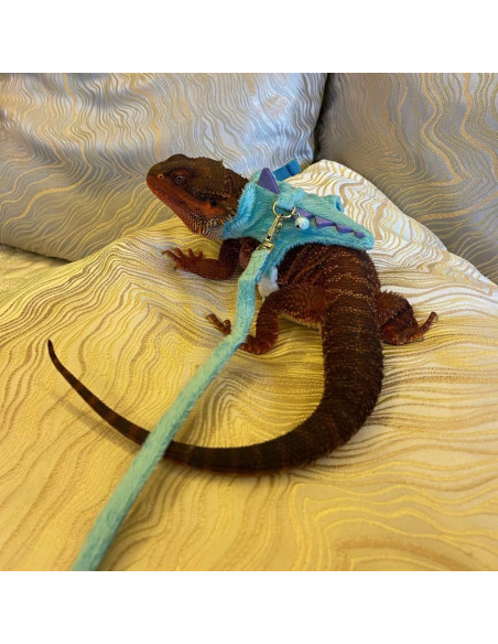 Conjunto Arnés y Correa SEZDEKI para Dragón Barbudo Azul