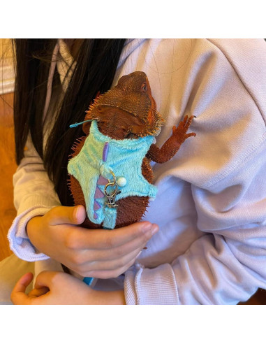 Conjunto Arnés y Correa SEZDEKI para Dragón Barbudo Azul