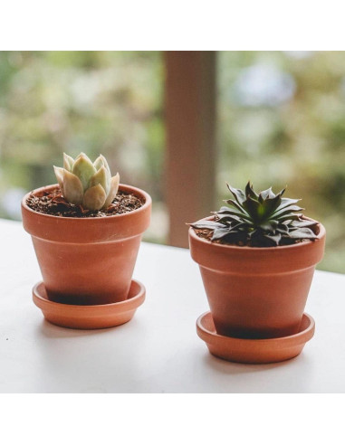 Macetas de terracota HERDUK 8.1 cm con plato - Paquete de 18