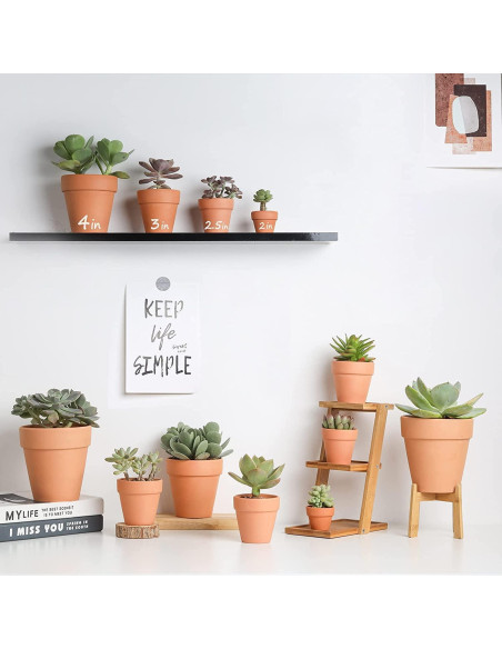 Macetas de terracota HERDUK 8.1 cm con plato - Paquete de 18 Macetas de terracota HERDUK 8.1 cm con plato - Paquete de 18