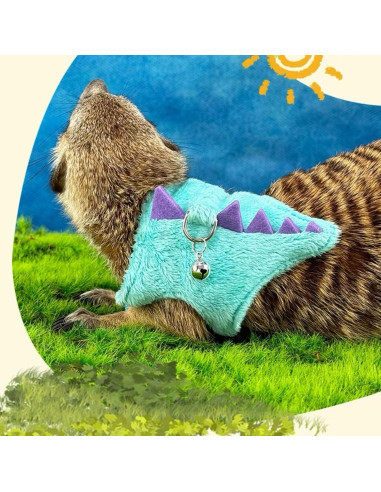 Conjunto Arnés y Correa SEZDEKI para Dragón Barbudo Azul