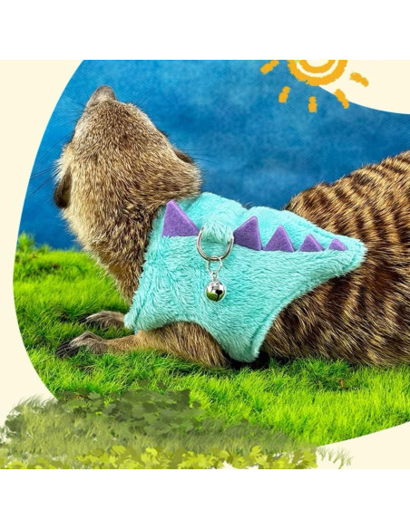 Conjunto Arnés y Correa SEZDEKI para Dragón Barbudo Azul