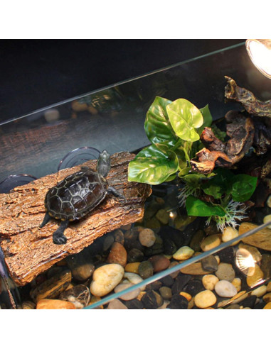 Plataforma Flotante para Tortugas BigTron - Resina Marrón 22x13x4cm