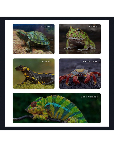 Plataforma Flotante para Tortugas BigTron - Resina Marrón 22x13x4cm