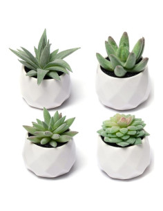 Conjunto de Suculentas Falsas CADNLY en Macetas Cerámicas - 4 Piezas