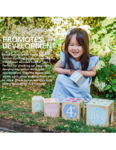 Cubos de Apilamiento de Madera Peter Rabbit - 5 Cubos y Figuras 2