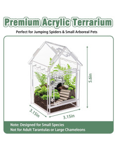 Terrario Acrílico para Arañas y Reptiles Bo-yiti - 8x8x14cm 2