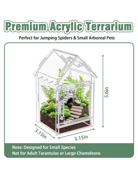 Terrario Acrílico para Arañas y Reptiles Bo-yiti - 8x8x14cm