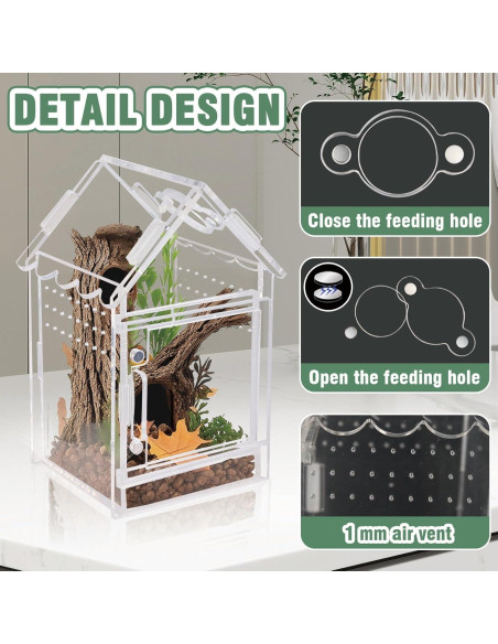 Terrario Acrílico para Arañas y Reptiles Bo-yiti - 8x8x14cm