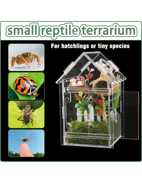 Terrario Acrílico para Arañas y Reptiles Bo-yiti - 8x8x14cm