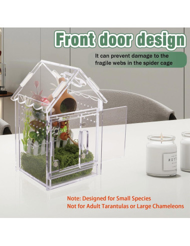 Terrario Acrílico para Arañas y Reptiles Bo-yiti - 8x8x14cm