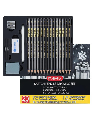 Set de Lápices de Dibujo Profesional PANDAFLY 20 Piezas