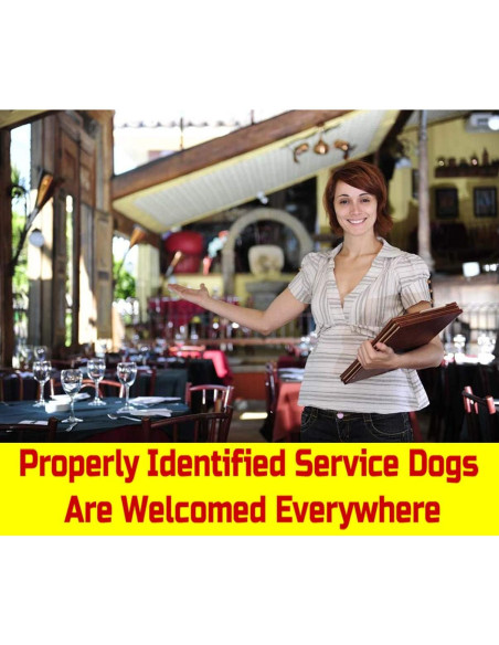 Tarjeta de Identificación de Perro de Servicio Just 4 Paws - Personalizada