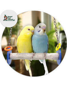 Columpio de Pájaro Sweet Feet and Beak 11.43 cm Azul 2