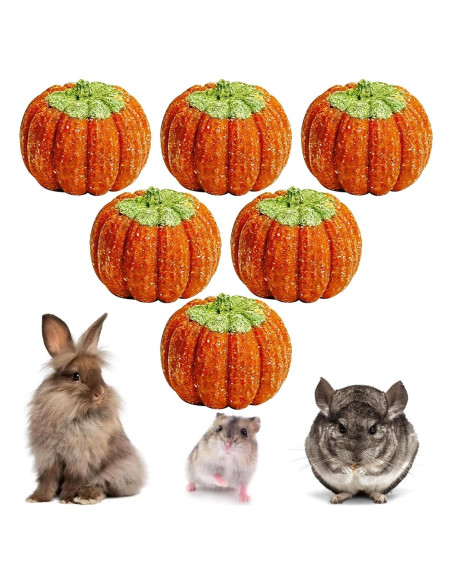Juguetes para Roer de Calabaza Fhiny - 6 PCS para Conejos y Cuyos