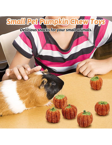 Juguetes para Roer de Calabaza Fhiny - 6 PCS para Conejos y Cuyos