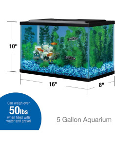 Acuario de vidrio Tetra 5.5 galones 40.6x20.3x25.4 cm 2