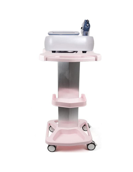 Carro de salón de belleza LOYALHEARTDY Rosa 46x38x73cm