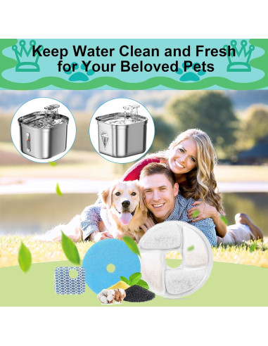 Filtros de Reemplazo para Fuente de Agua para Gatos Daoxuan - Paquete de 5