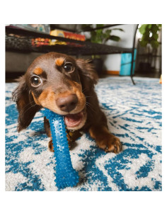 Hueso Nylabone Flexi Chew para Perros X-Pequeño 3 Unidades 2