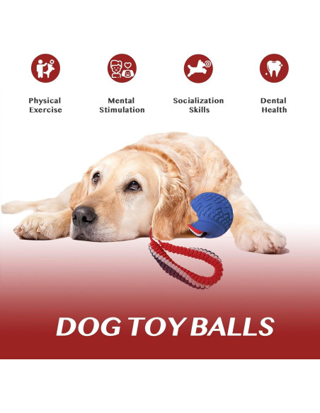 Pelota Flotante para Perros Viraagyiyou 27cm Goma Duradera Pelota Flotante para Perros Viraagyiyou 27cm Goma Duradera