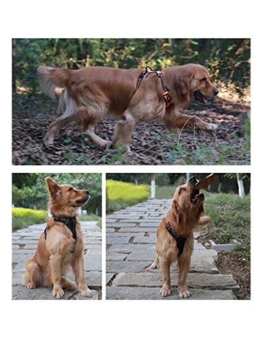 Arnés para Perros JUXZH Reflectante Talla XS Negro