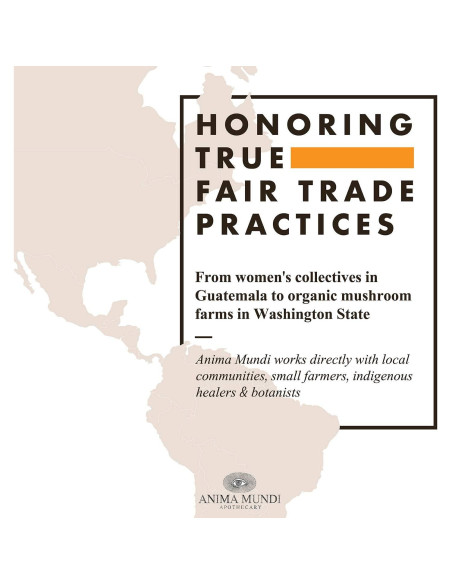 Jarabe de Saúco Orgánico Anima Mundi 59ml - Apoyo Inmunológico