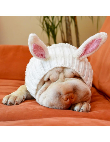 Disfraz de Conejo para Perro Zoo Snoods - Snood Pequeño Blanco