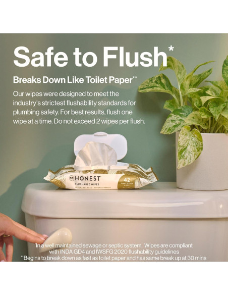 Toallitas Desechables The Honest Company 42 Unidades Piel Sensible