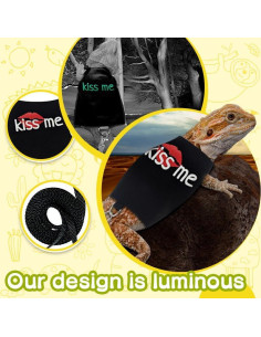 Correa y Arnés Ajustable HOKABLE para Dragón Barbudo Negro 2