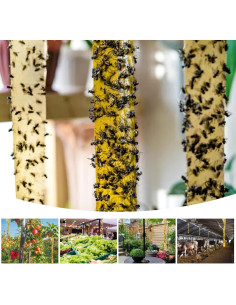 Trampa Adhesiva para Moscas Glovv 24 Paquete - Cinta Colgante Eficaz 2