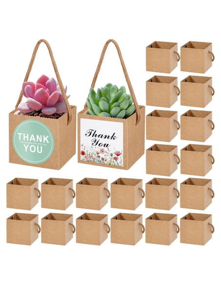 KesaPlan 50 Bolsas de Envoltura para Suculentas con Etiquetas KesaPlan 50 Bolsas de Envoltura para Suculentas con Etiquetas