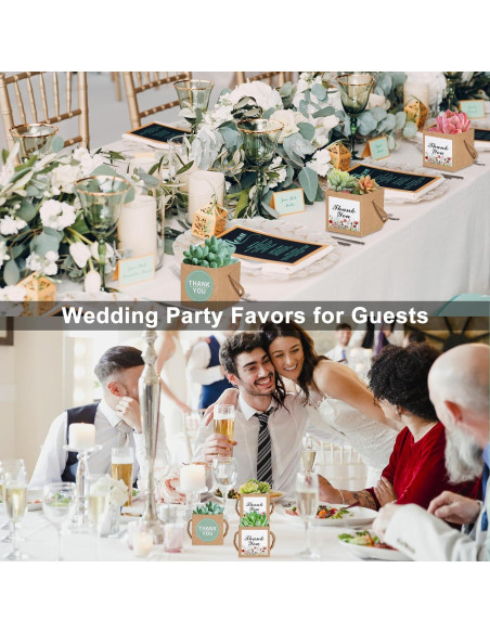 KesaPlan 50 Bolsas de Envoltura para Suculentas con Etiquetas KesaPlan 50 Bolsas de Envoltura para Suculentas con Etiquetas