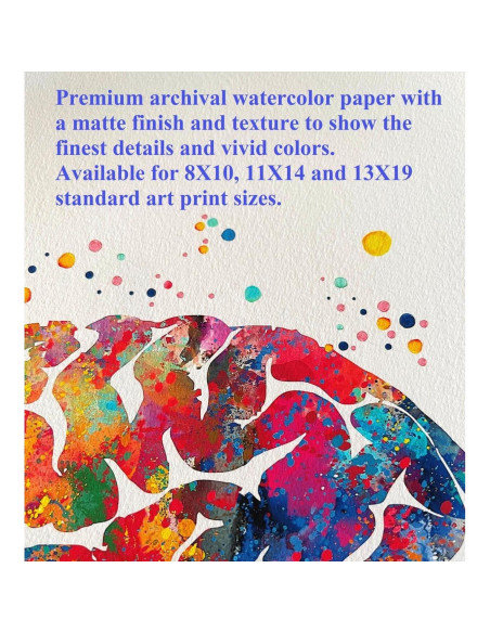Arte Acuarela Dignovel Studios 25x20 cm Circuito Cerebral