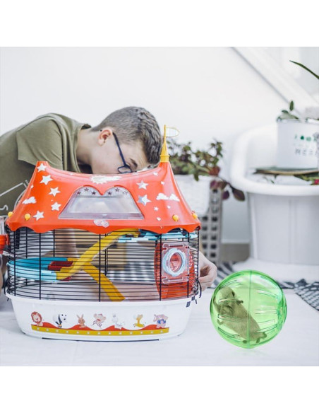 Bolas de Ejercicio para Hámster POPETPOP 10.16 cm 2 Pcs