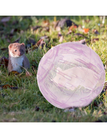 Bolas de Ejercicio para Hámster POPETPOP 10.16 cm 2 Pcs