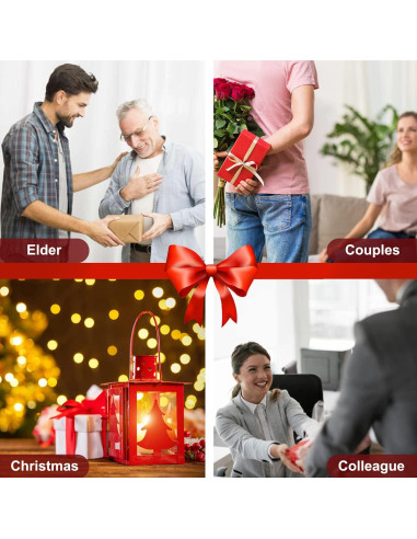 Aguijón de Vino IEOVO - Aireador Acrílico Compacto 58g