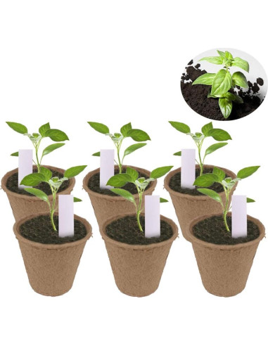 Paquete de 100 macetas biodegradables Huvai 8 cm para plántulas