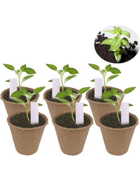 Paquete de 100 macetas biodegradables Huvai 8 cm para plántulas