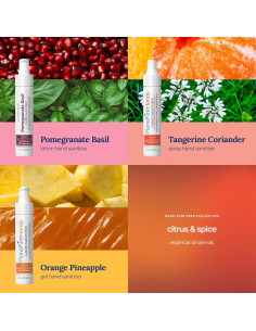 Desinfectante de Manos 3pk PlaneAire - Cítricos y Especias 59ml 2