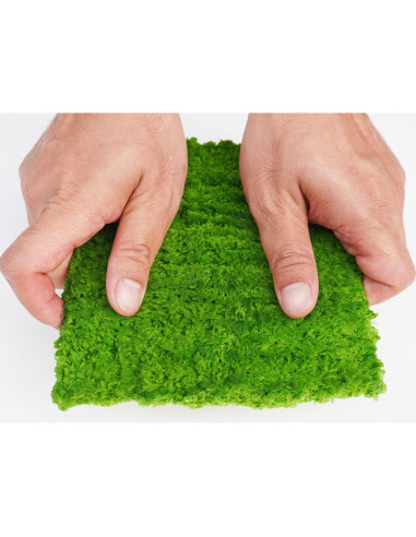 Pared de Escalada para Cangrejo Ermitaño Jinymral 15.24 cm