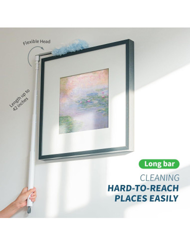 Plumero Extensible Oshang 1.1m + 12 Recambios Microfibra